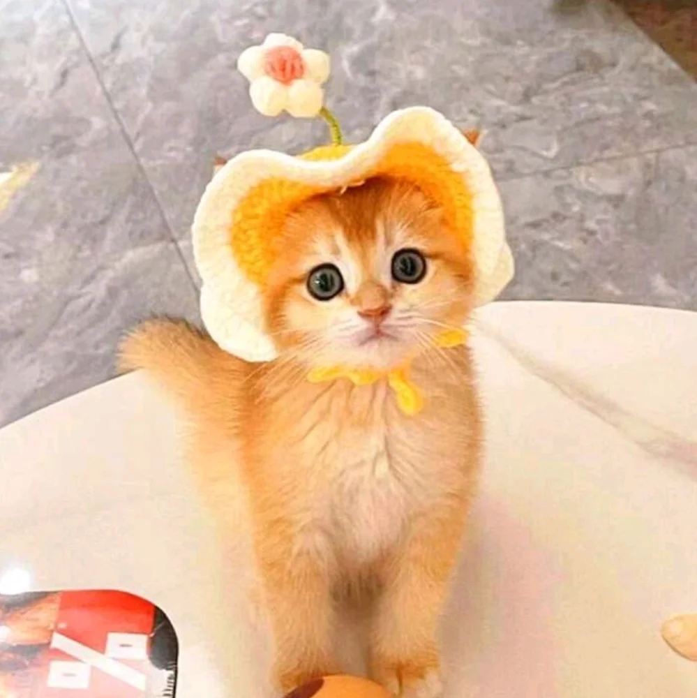 Crochet sun hat for cat